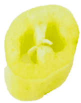 Pepper